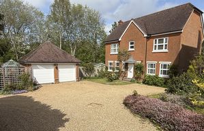 Photo 31- click for photo gallery